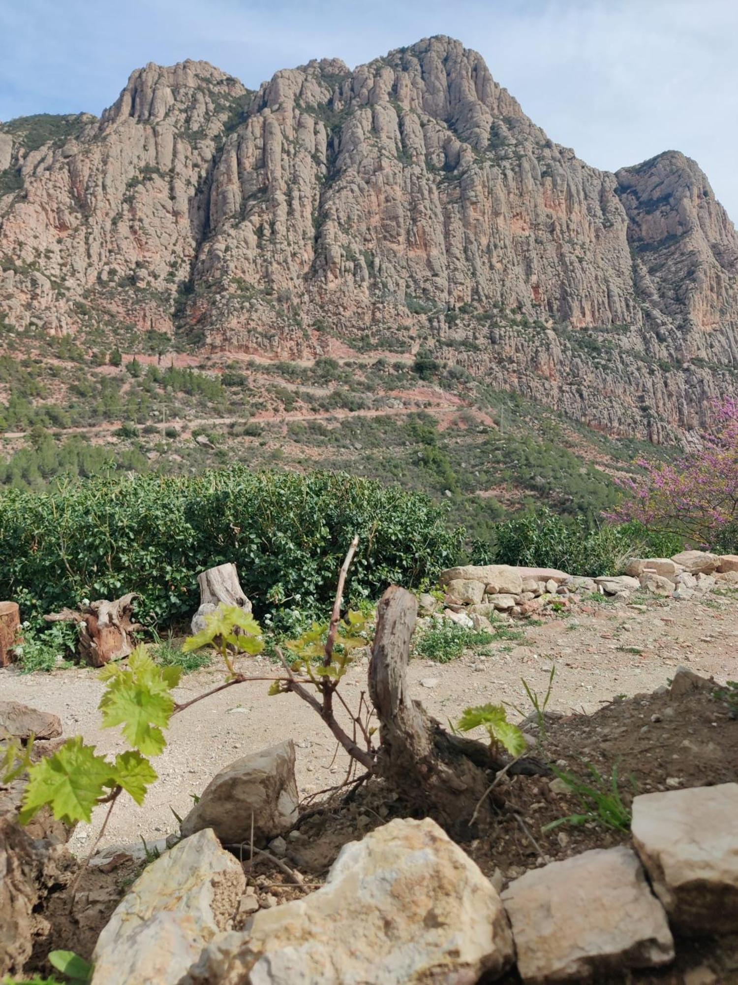 Cal Simon- Casa A Montserrat Collbató Kültér fotó